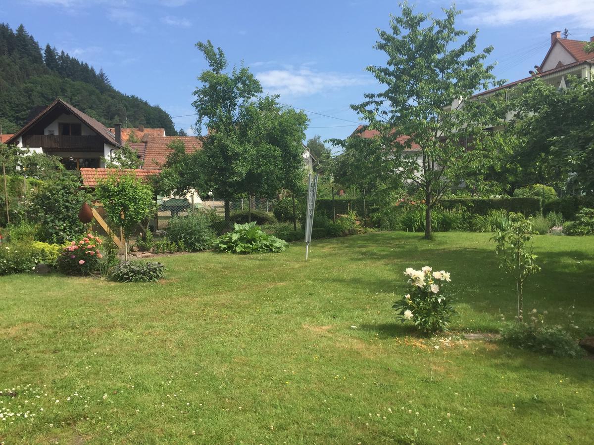 Schönau Ferienhaus Werkhof מראה חיצוני תמונה
